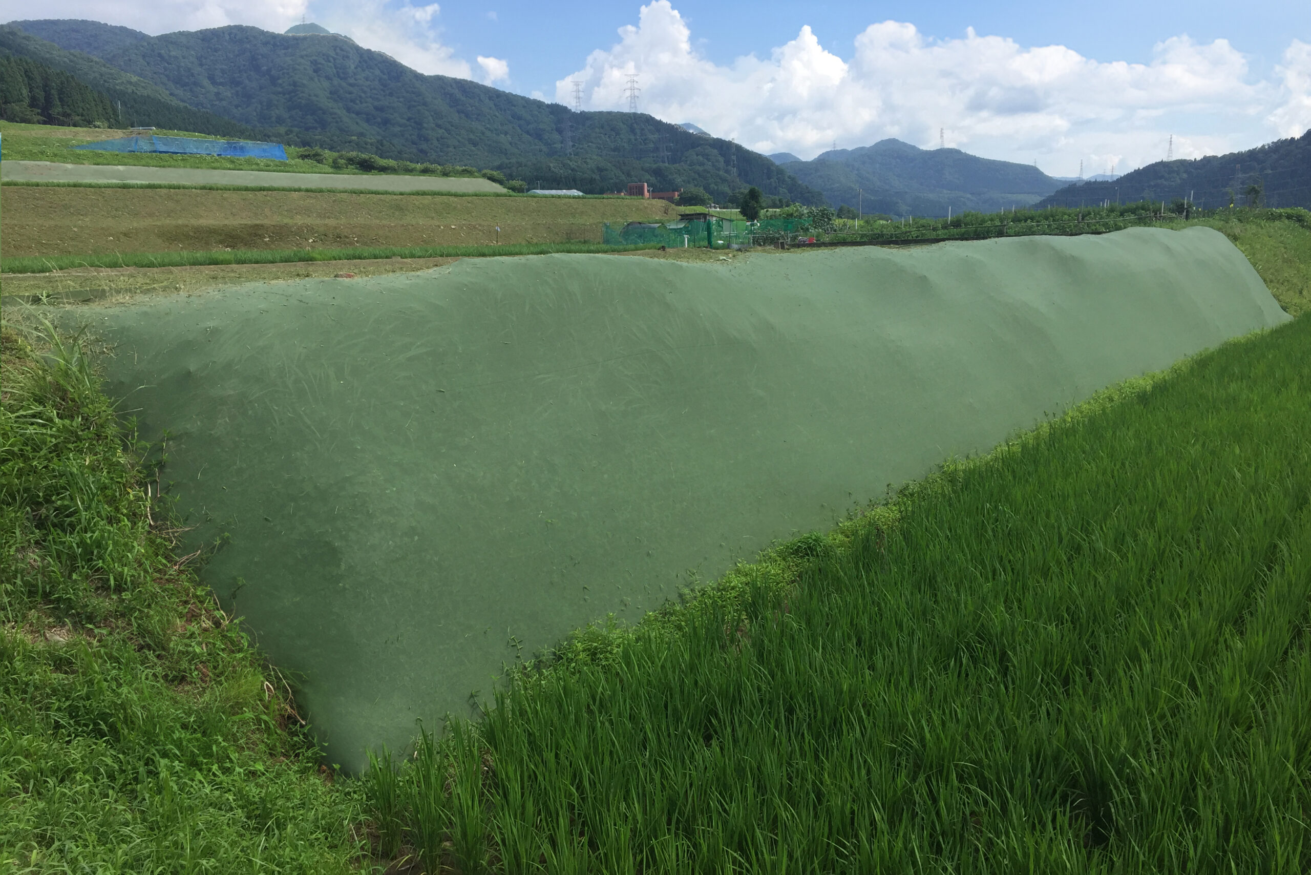 傾斜地専用】雑草抑制おまかせネット - 大一工業株式会社