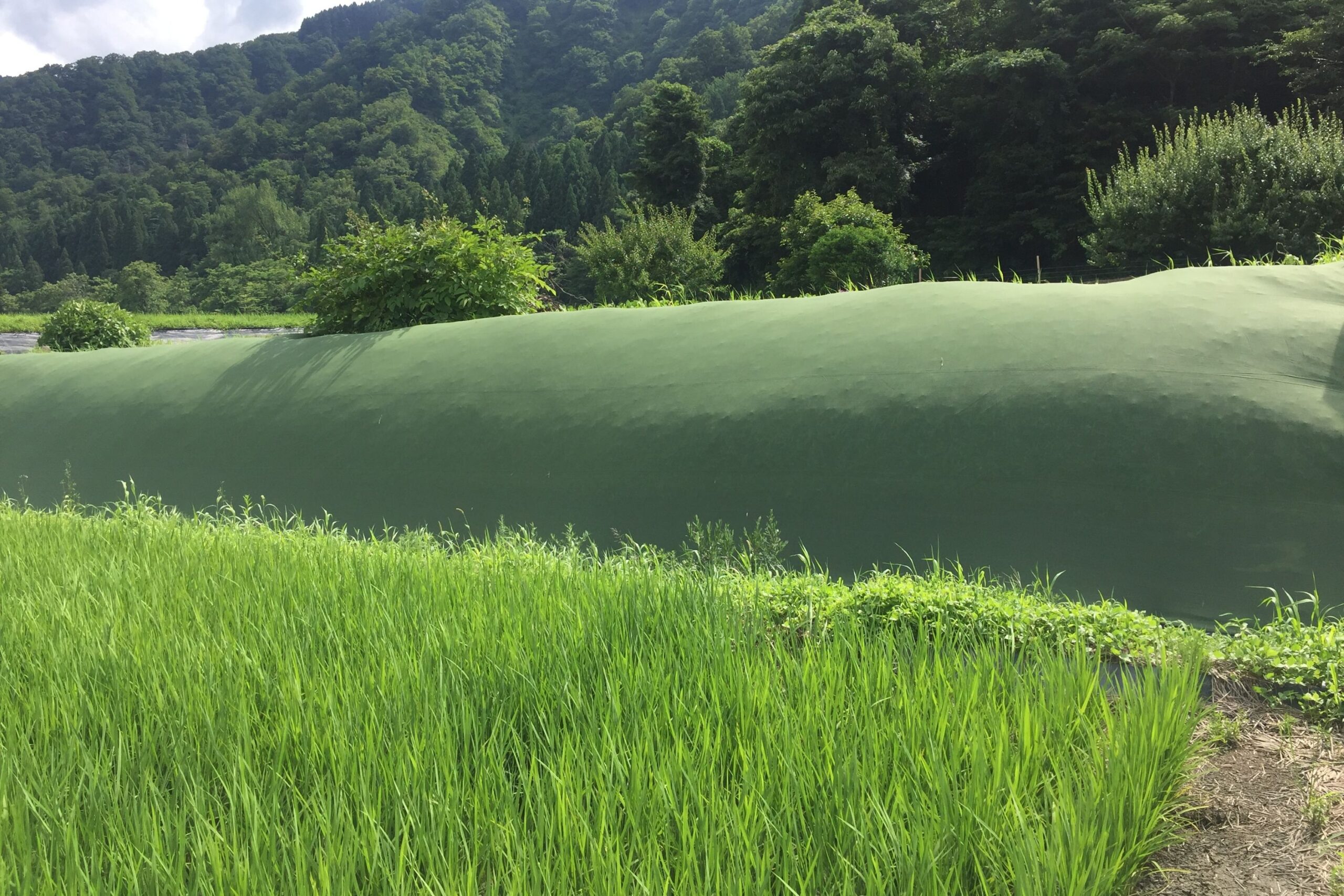 雑草抑制ネット